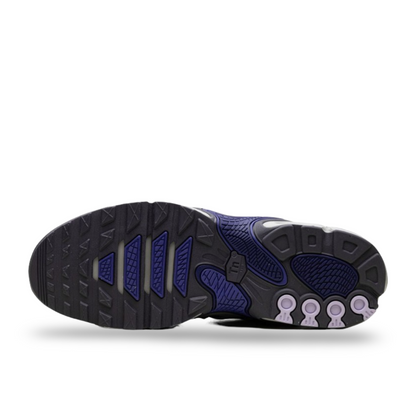 Nike Air Max Plus Drift "Concord"